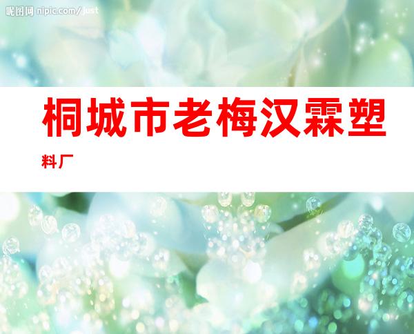 桐城市老梅汉霖塑料厂